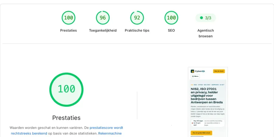 Google PageSpeed Insights-score van cyberdijk.eu op mobiel
